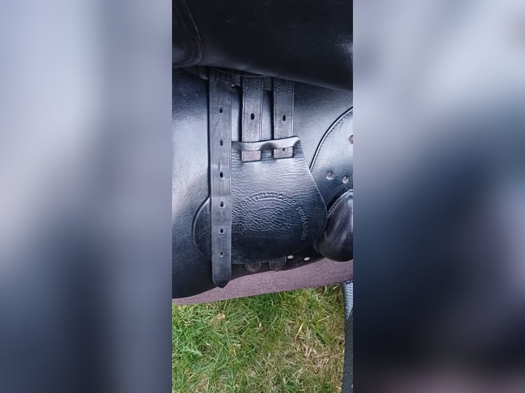 Springsattel Sommer Diplomat Exklusiv