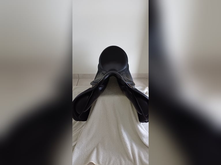 Springsattel Sommer Diplomat Exklusiv