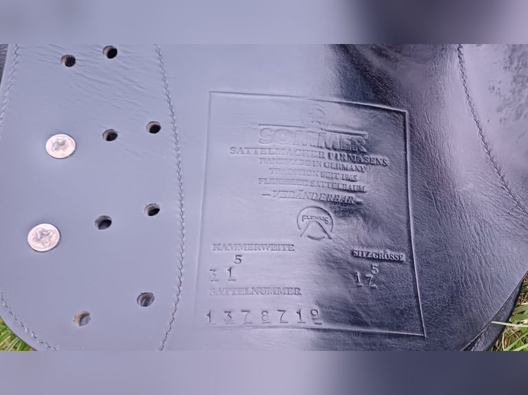 Springsattel Sommer Diplomat Exklusiv