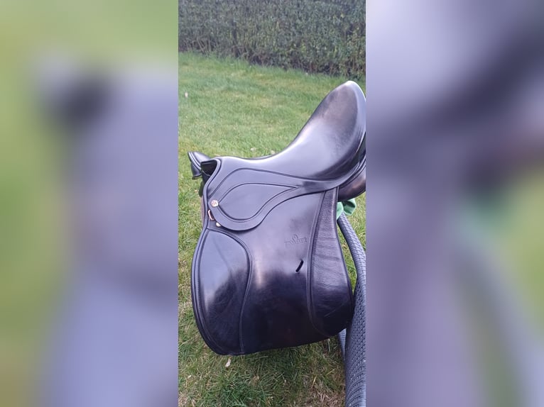 Springsattel Sommer Diplomat Exklusiv