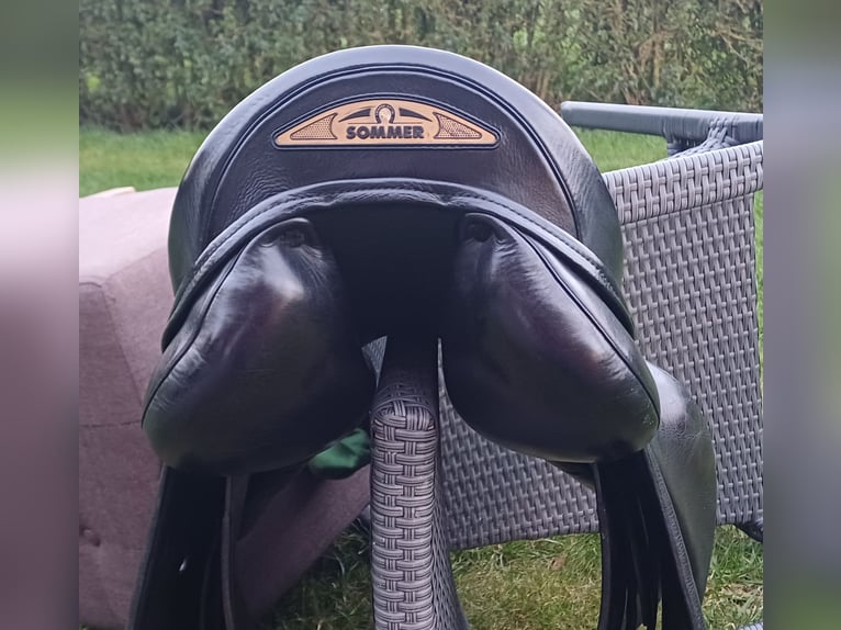 Springsattel Sommer Diplomat Exklusiv