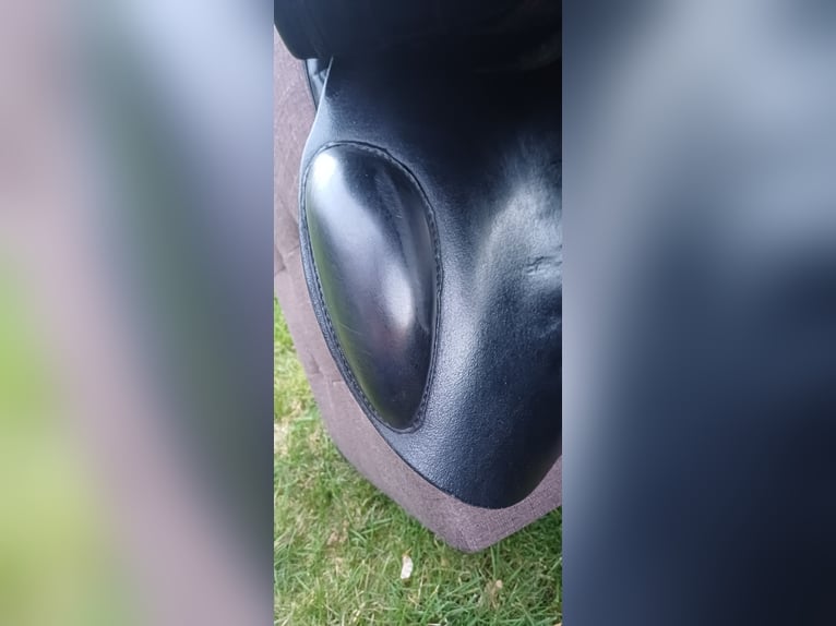 Springsattel Sommer Diplomat Exklusiv