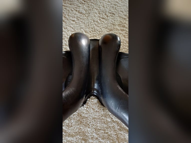 Springsattel Sommer Diplomat Exklusiv