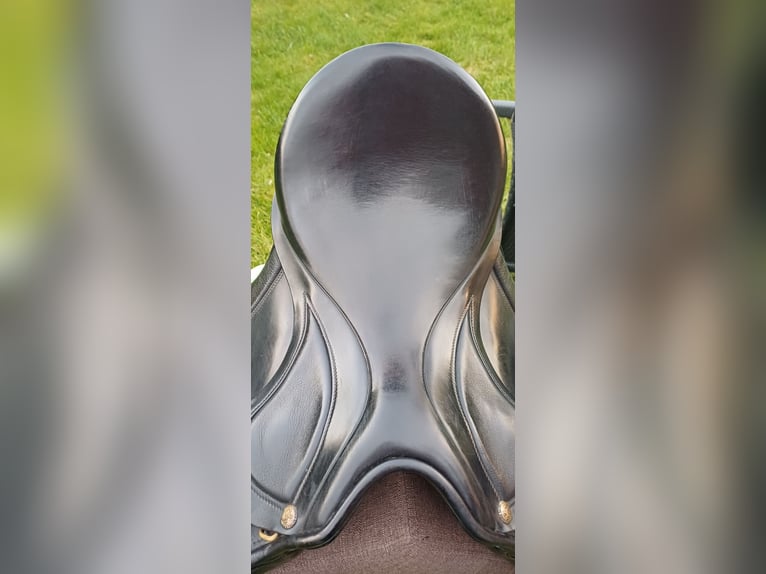 Springsattel Sommer Diplomat Exklusiv