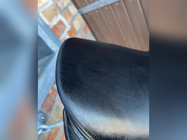 Springsattel Sommer Opus 1 Flexus Sattelbaum 