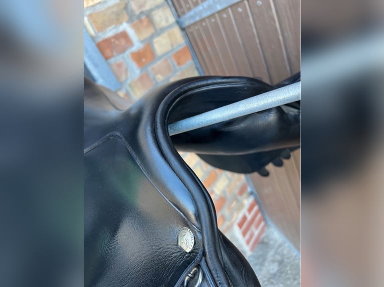 Springsattel Sommer Opus 1 Flexus Sattelbaum 