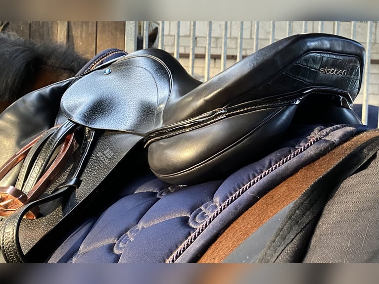 Springsattel Stübben Virginia 