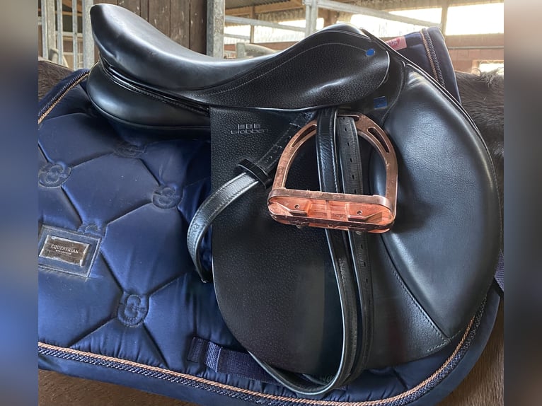 Springsattel Stübben Virginia 