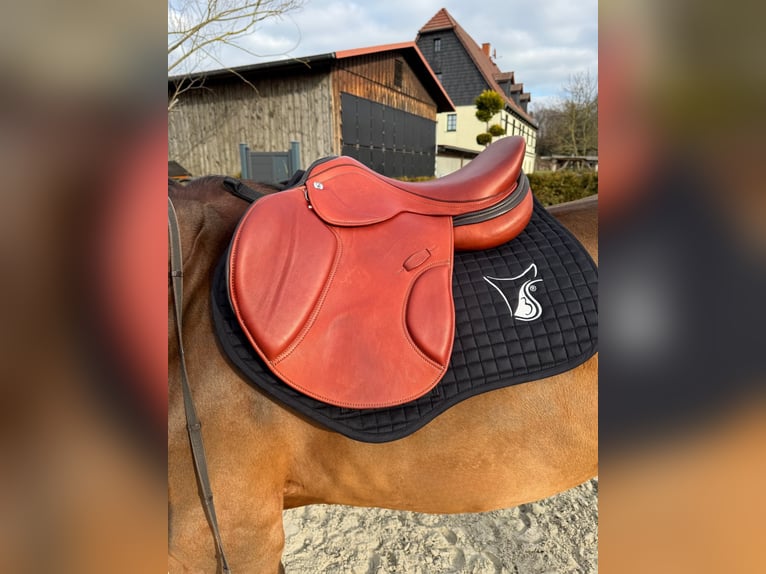 Springsattel von 3S Sattel Springsattel von 3S Sattel