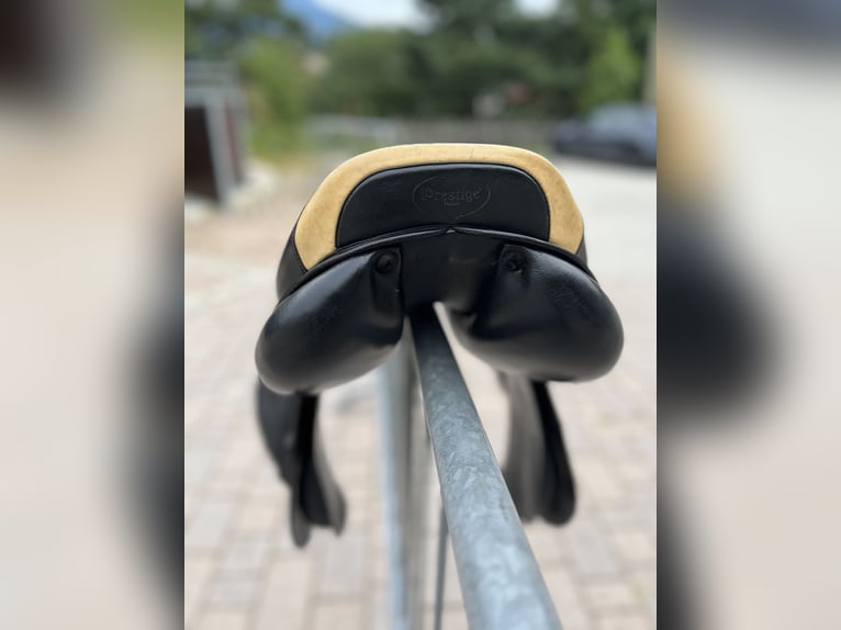 Springsattel von Prestige Elastic Professional 