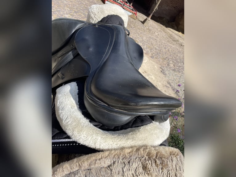 Springsattel von Seabis