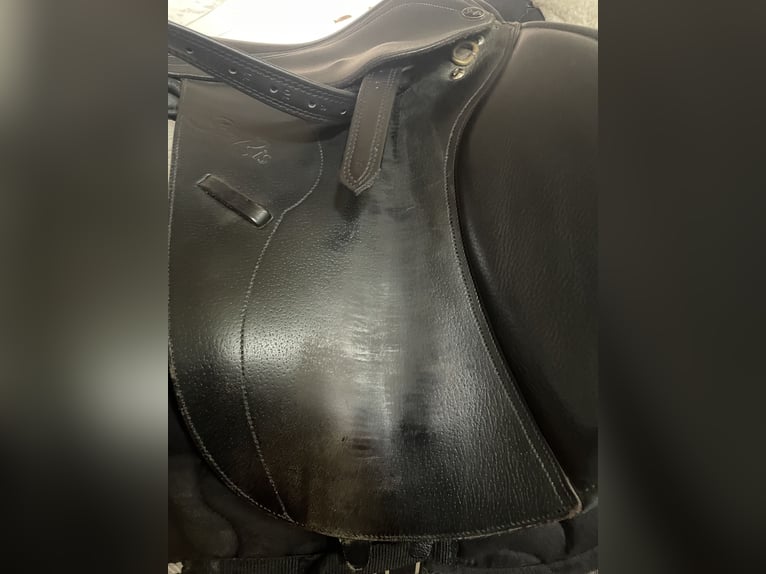 Springsattel von Seabis