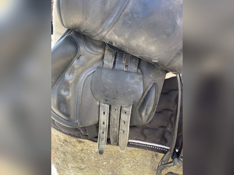 Springsattel von Seabis