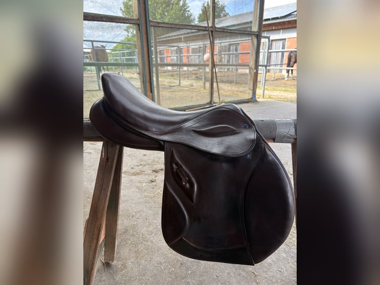 Stubben Sattel Pheonix Elite