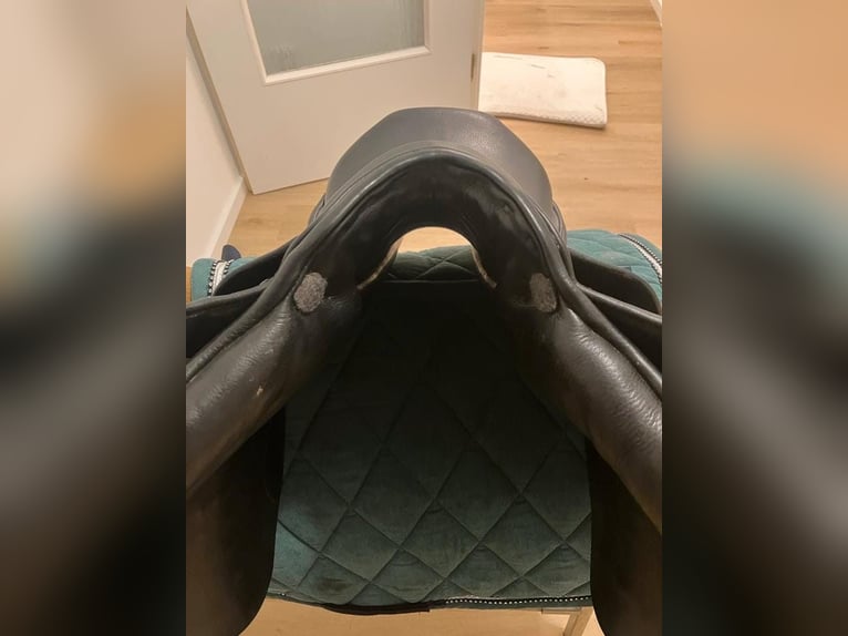 Stübben Edelweiss Springsattel – 17,5 Zoll – neuwertig