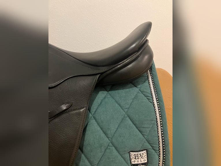 Stübben Edelweiss Springsattel – 17,5 Zoll – neuwertig