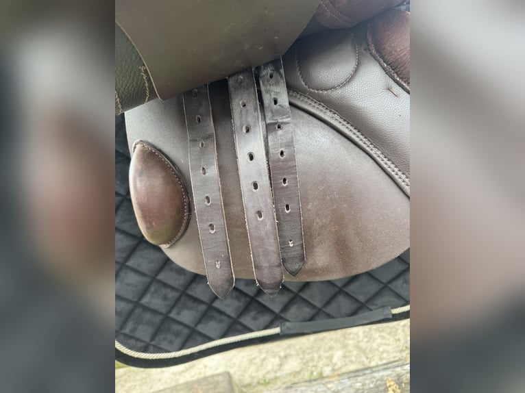 Stübben Phoenix Elite braun 17/29 neuwertig