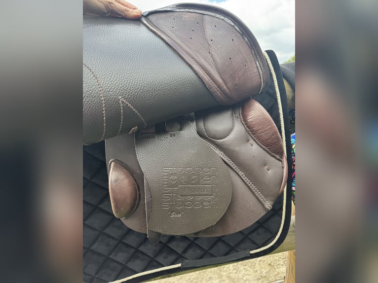 Stübben Phoenix Elite braun 17/29 neuwertig