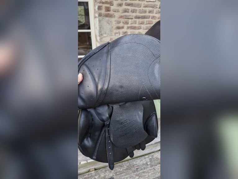 Stübben Phoenix Elite