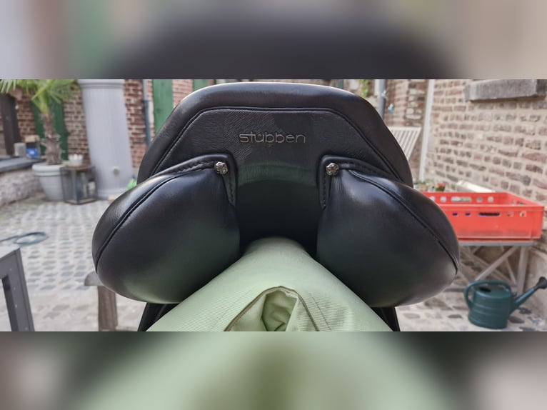 Stübben Phoenix Elite