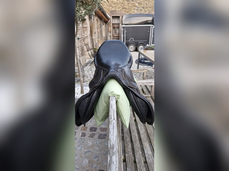 Stübben Phoenix Elite