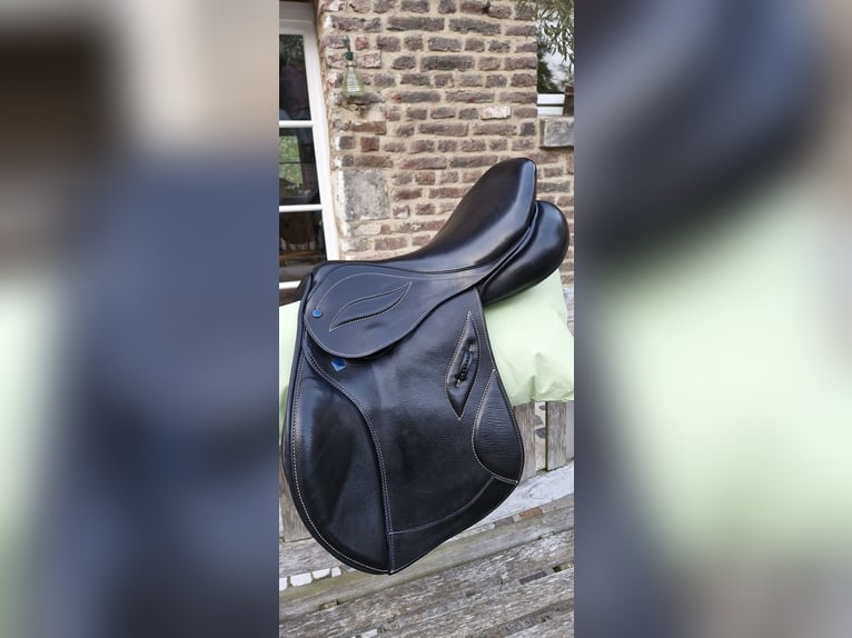 Stübben Phoenix Elite