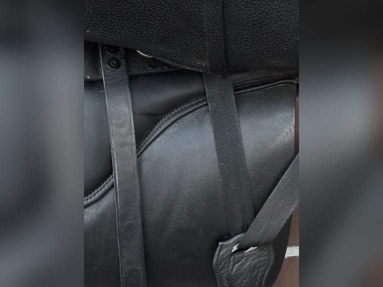 Stübben REV Sattel 17,5” – Dressur + Springen