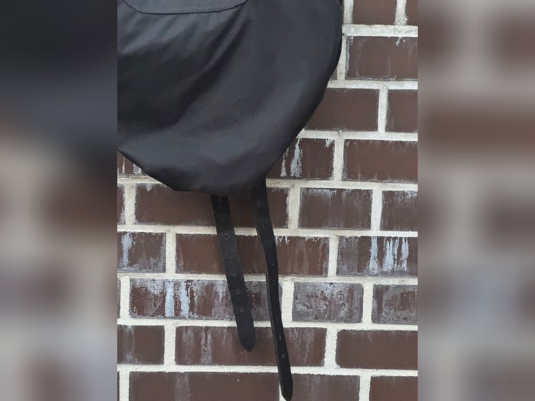 Stübben REV Sattel 17,5” – Dressur + Springen