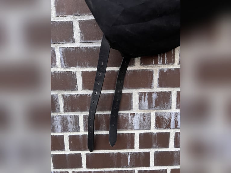 Stübben REV Sattel 17,5” – Dressur + Springen