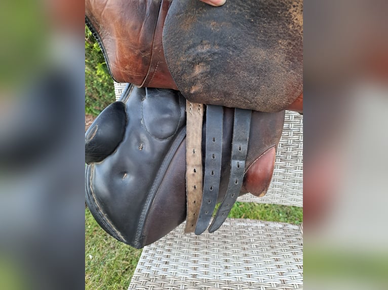 Stübben Springsattel