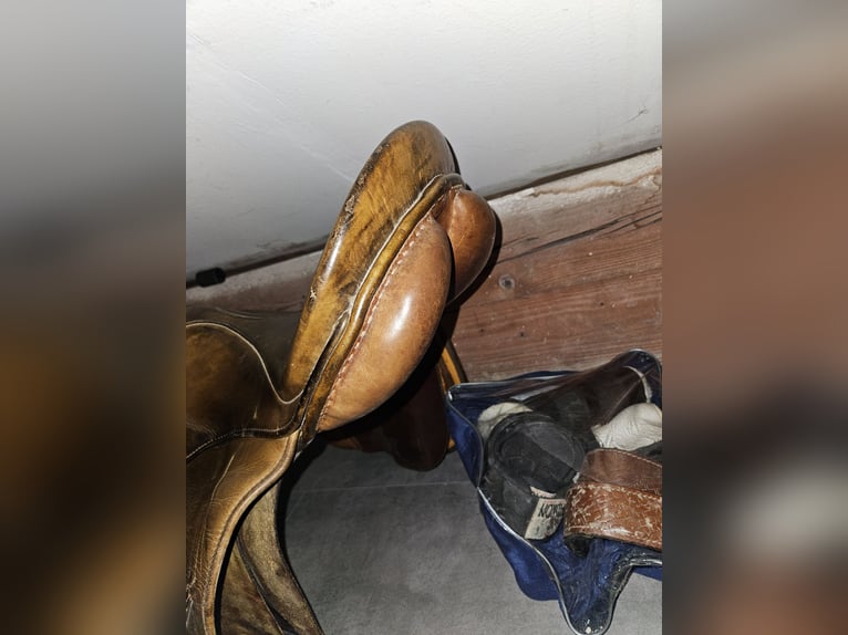 Stübben Springsattel 