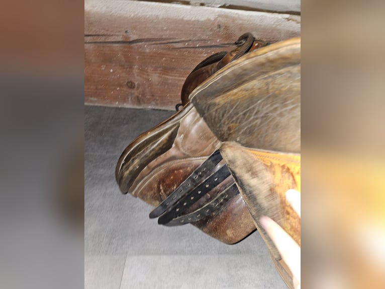 Stübben Springsattel 