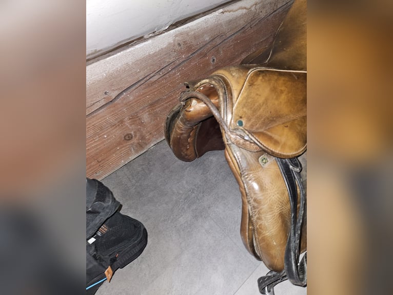 Stübben Springsattel 