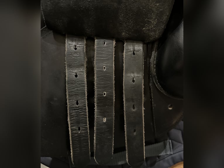 Theo Sommer Springsattel