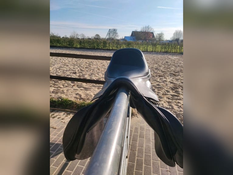 Toller Achat Sensitiv Springsattel im TOP Zustand 