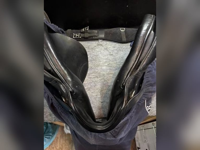 Top gepflegter Springsattel von Passier zu verkaufen!