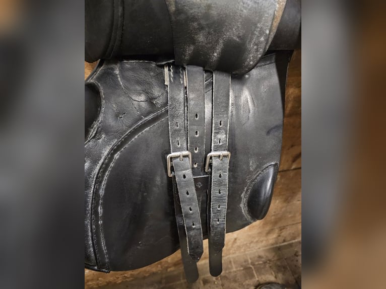 Top gepflegter Springsattel von Passier zu verkaufen!