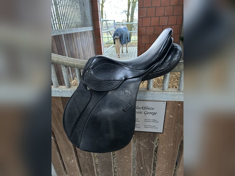 Top Stübben Laurus Pony Springsattel 16“ Kindersattel