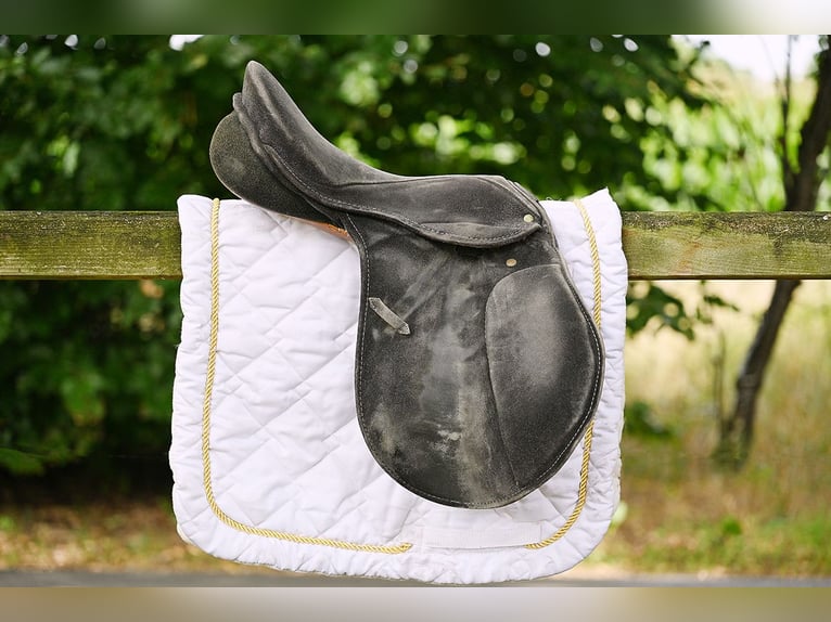 UBO Springsattel - Wildleder, Dornschließe, S-Gurt, Springsattel