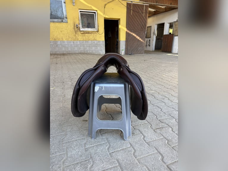 Verkaufe meinen CWD Mademoiselle 2GS
