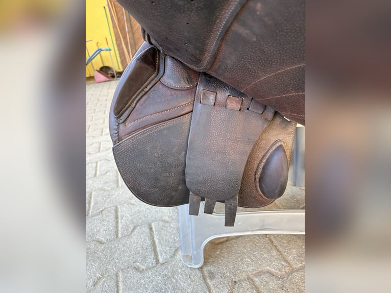Verkaufe meinen CWD Mademoiselle 2GS