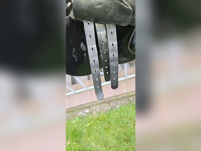 Verkaufe Michel Robert Springsattel 17 Zoll!
