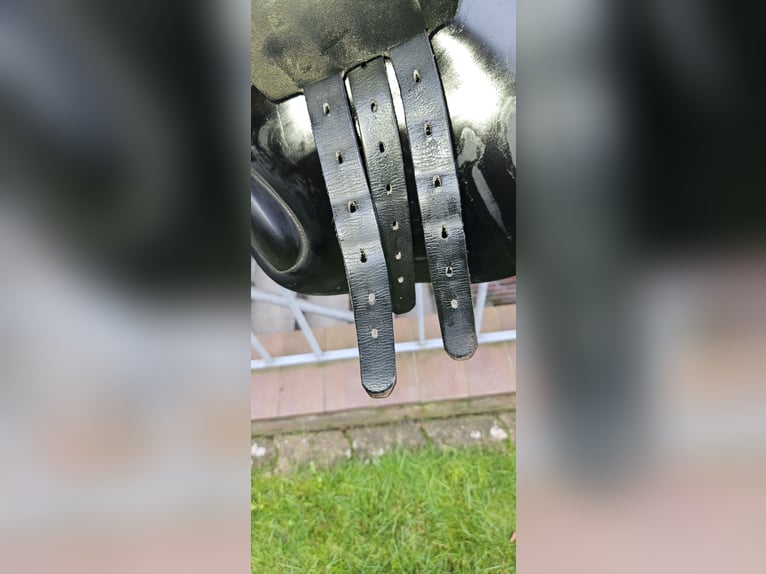 Verkaufe Michel Robert Springsattel 17 Zoll!