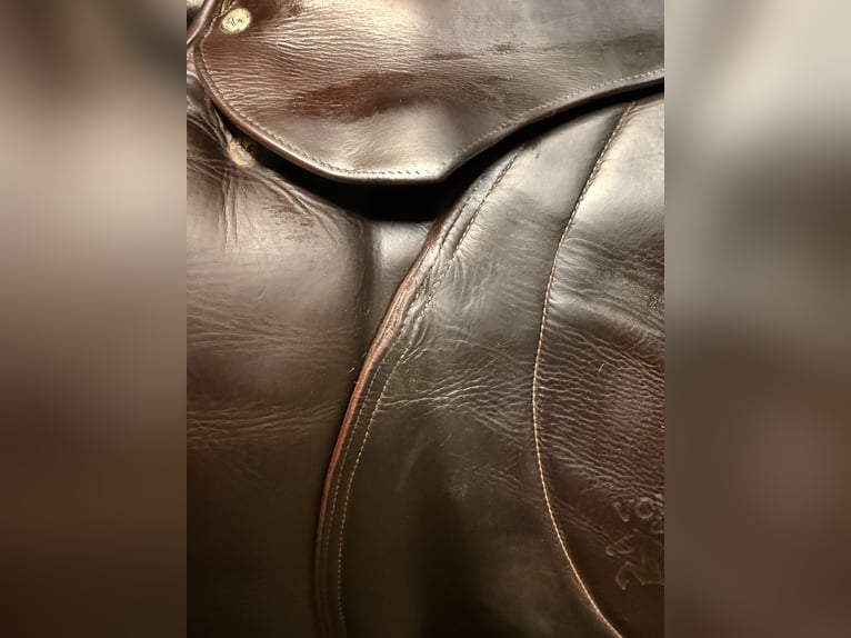 Voltaire Springsattel Palm Beach