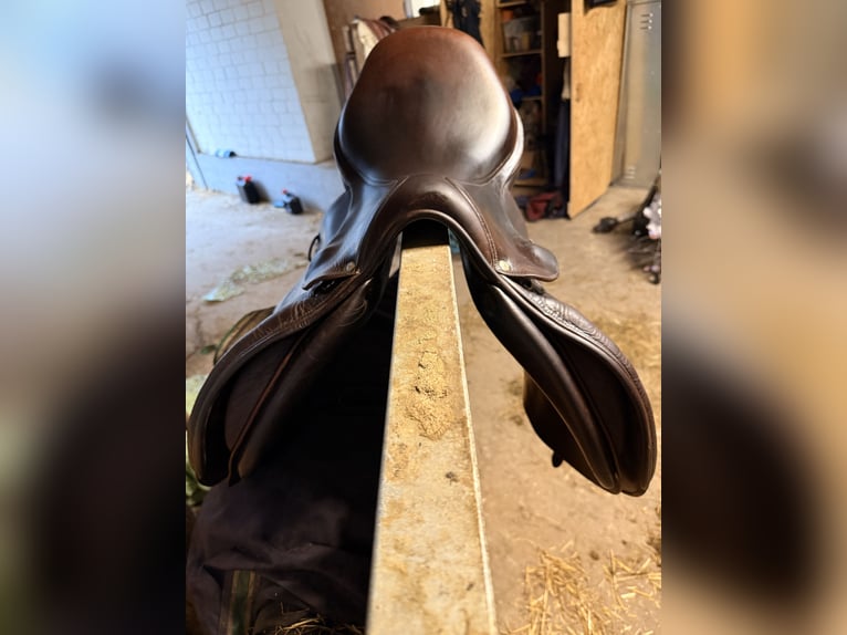 Voltaire Springsattel Palm Beach