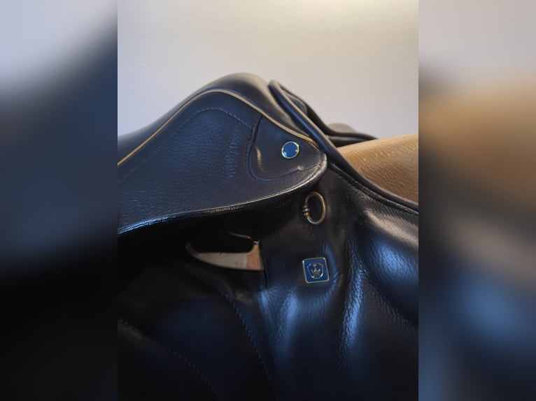 VS Gelände-Springsattel Stübben Zaria Optimum schwarz 17,5