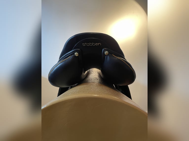 VS Gelände-Springsattel Stübben Zaria Optimum schwarz 17,5