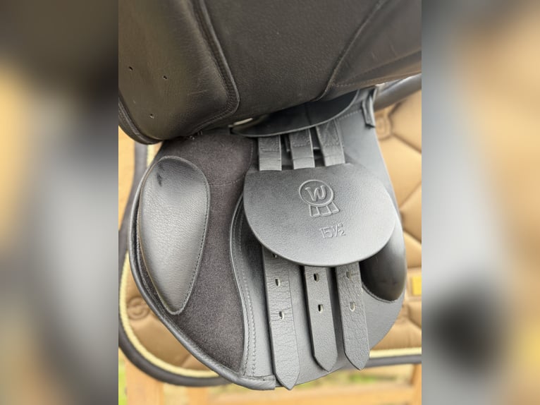 Waldhausen Springsattel Comfort Leder