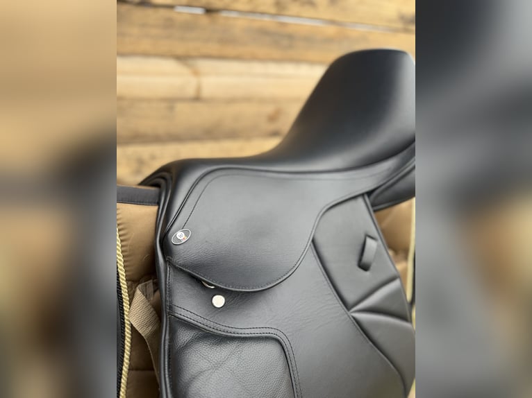 Waldhausen Springsattel Comfort Leder