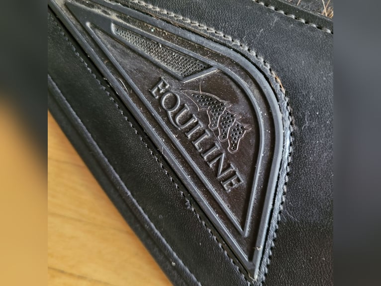 Wenig gebrauchter Springsattel von Passier